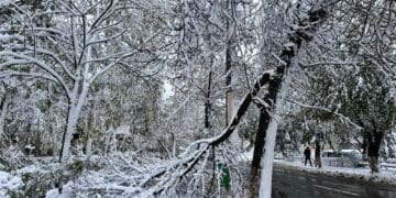 VIDEO. Iarnă în toată regula înainte de Paște: viscol, ninsori și -13°C la Vârful Omu