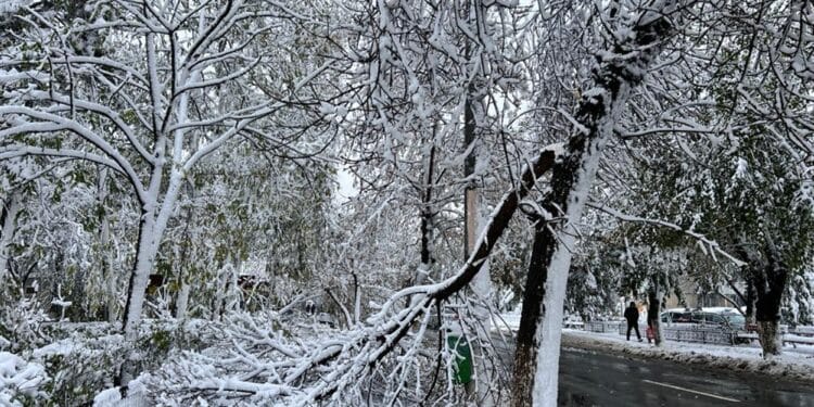 VIDEO. Iarnă în toată regula înainte de Paște: viscol, ninsori și -13°C la Vârful Omu