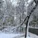 VIDEO. Iarnă în toată regula înainte de Paște: viscol, ninsori și -13°C la Vârful Omu