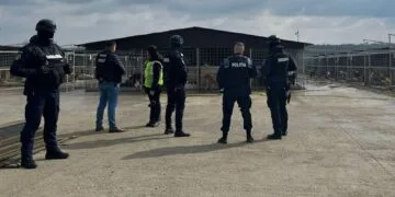 Percheziții într-un adăpost! Suspiciuni că sute de câini ar fi fost uciși ilegal