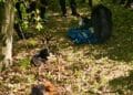 Bătrână de 94 de ani, găsită în viață după două zile de căutări! A supraviețuit în pădure, însoțită de câinii săi!