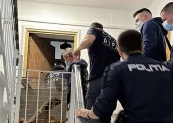 Descoperire șocantă! 25 de câini salvați dintr-un apartament insalubru după un incendiu. Animalele erau bolnave și ținute fără hrană