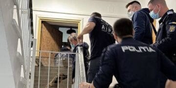 Descoperire șocantă! 25 de câini salvați dintr-un apartament insalubru după un incendiu. Animalele erau bolnave și ținute fără hrană