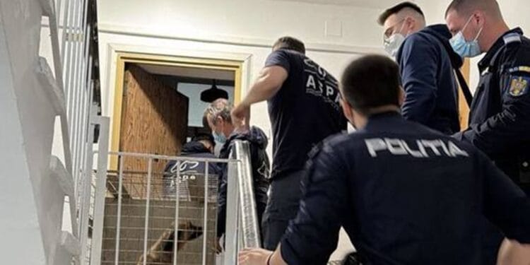 Descoperire șocantă! 25 de câini salvați dintr-un apartament insalubru după un incendiu. Animalele erau bolnave și ținute fără hrană