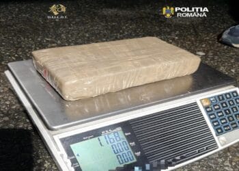 Captură uriașă de cocaină! Șofer de TIR prins în flagrant cu 30 de kilograme de droguri ascunse în cabină