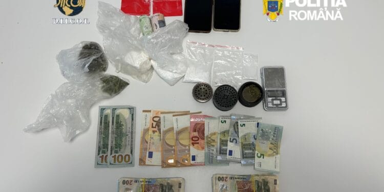 Rețea de droguri destructurată! Cocaină, canabis și substanțe psihoactive, descoperite la percheziții