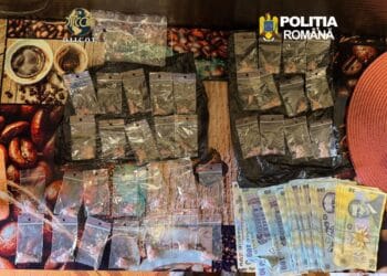 Afacere de familie cu „cristal” destructurată! Mamă și fiică, reținute de DIICOT