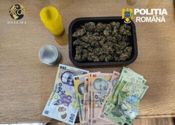 Rețea de trafic de droguri destructurată! Cinci tineri reținuți, substanțe periculoase vândute prin aplicații online