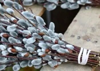 Floriile, sărbătoarea bucuriei și a numelor de flori. Tradiții  și semnificații