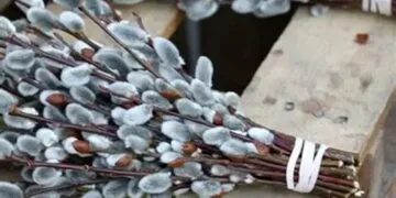 Floriile, sărbătoarea bucuriei și a numelor de flori. Tradiții și semnificații