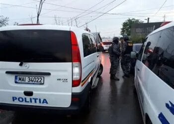 REȚEA DE DROGURI DESTRUCTURATĂ! Doi tineri, arestați după percheziții! Canabis, cocaină și bani proveniți din trafic