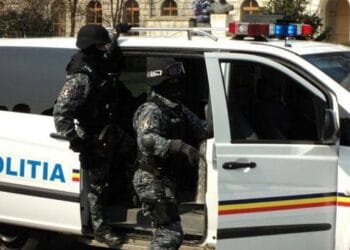 Rețea de droguri destructurată! Cantități uriașe de substanțe interzise și zeci de mii de euro, descoperite la percheziții