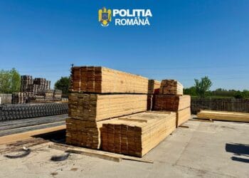 Transport ilegal de lemne descoperit! 16 metri cubi confiscați, camion indisponibilizat!