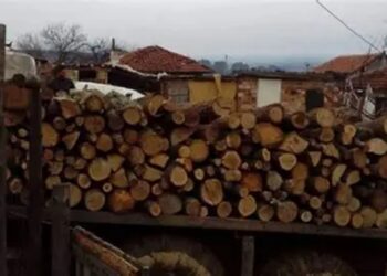 VIDEO. Percheziții de amploare! Suspecți de tăieri ilegale și falsuri, vizați de anchetatori