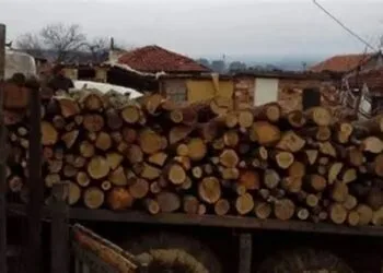 VIDEO. Percheziții de amploare! Suspecți de tăieri ilegale și falsuri, vizați de anchetatori