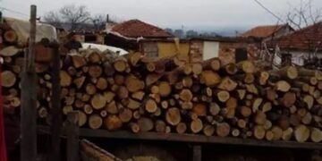 VIDEO. Percheziții de amploare! Suspecți de tăieri ilegale și falsuri, vizați de anchetatori