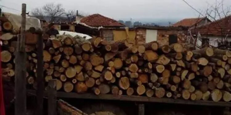 VIDEO. Percheziții de amploare! Suspecți de tăieri ilegale și falsuri, vizați de anchetatori