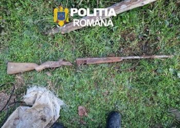 Percheziții de amploare! Arme ilegale, muniție și sute de trofee, descoperite de polițiști. Patru bărbați, reținuți