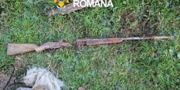 Percheziții de amploare! Arme ilegale, muniție și sute de trofee, descoperite de polițiști. Patru bărbați, reținuți