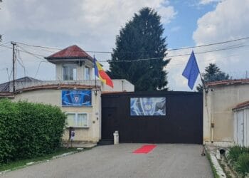 Condamnată și încarcerată! Femeie dusă la penitenciar pentru tulburarea liniștii publice! 