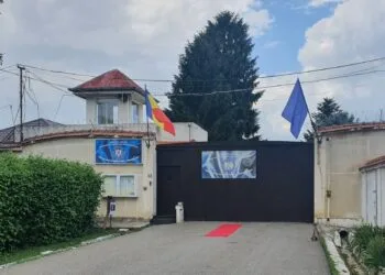 Condamnată și încarcerată! Femeie dusă la penitenciar pentru tulburarea liniștii publice! 