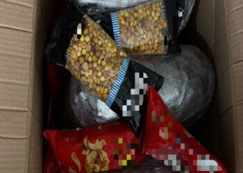 Droguri ascunse printre alimente: aproape 9 kilograme de canabis și sute de grame de hașiș!