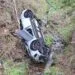 Mașină răsturnată într-un pârâu! Doi tineri au ajuns la spital după accident!