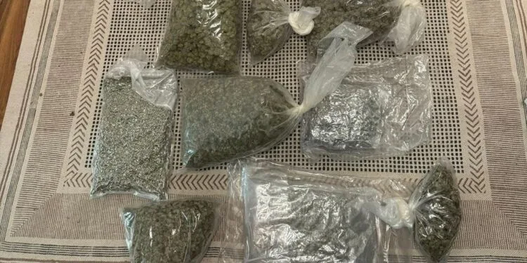 Captură de proporții! Peste 16 kilograme de canabis descoperite. Traficant reținut în flagrant, marfa era destinată litoralului! 