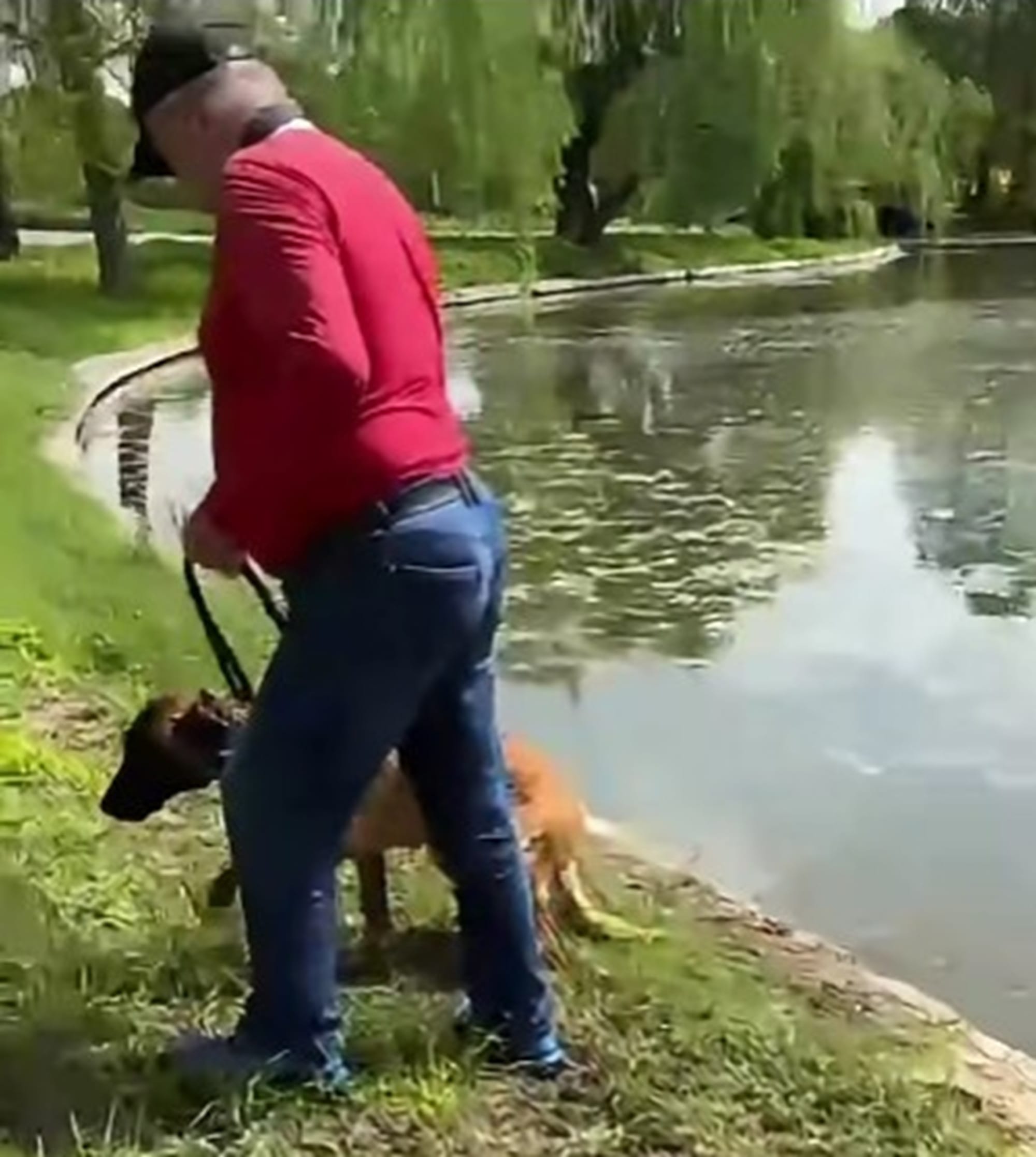 Revoltă după ce un bărbat ar fi încercat să-și înece câinele! Animalul a fost salvat în ultima clipă de martori