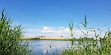 Sfârșit tragic! Copil de 4 ani găsit mort într-o baltă, la o oră după ce a dispărut!
