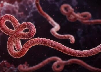 Alertă sanitară! Pericol din cauza extinderii Ebola. Epidemia se răspândește rapid