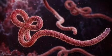Alertă sanitară! Pericol din cauza extinderii Ebola. Epidemia se răspândește rapid