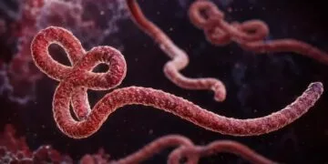 Alertă sanitară! Pericol din cauza extinderii Ebola. Epidemia se răspândește rapid