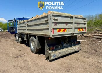 Transport de lemne oprit în trafic! Polițiștii au confiscat întreaga cantitate de material lemnos
