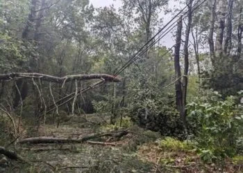 Vijeliile și ploile au făcut ravagii! Pompierii au intervenit de urgență după inundații, copaci prăbușiți și pagube provocate de furtuni