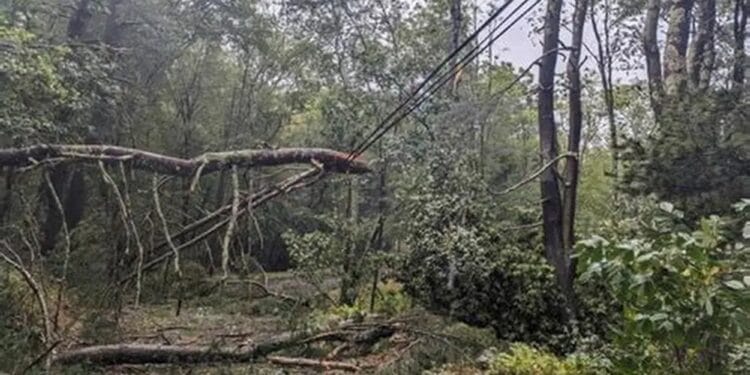 Vijeliile și ploile au făcut ravagii! Pompierii au intervenit de urgență după inundații, copaci prăbușiți și pagube provocate de furtuni