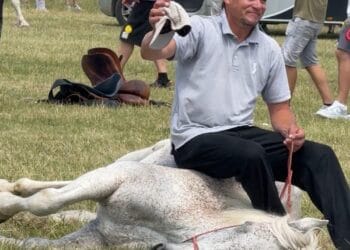Revoltă după imaginile de la un târg de cai! O asociație pentru protecția animalelor cere intervenția Poliției