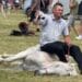Revoltă după imaginile de la un târg de cai! O asociație pentru protecția animalelor cere intervenția Poliției