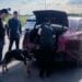 Razie de amploare! Polițiștii au depistat un șofer fără permis și un conducător auto suspectat că a consumat droguri