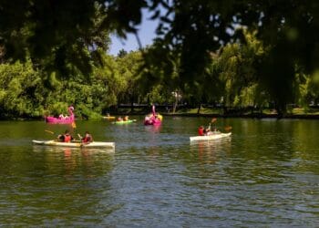 Sport fără bariere: competiție dedicată persoanelor cu dizabilități la maraton și noi activități incluzive la Sports Festival