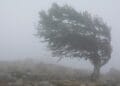 Alertă meteo extinsă: furtuni, vijelii și grindină. Codul galben se prelungește până marți seară