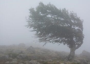 Alertă meteo extinsă: furtuni, vijelii și grindină. Codul galben se prelungește până marți seară