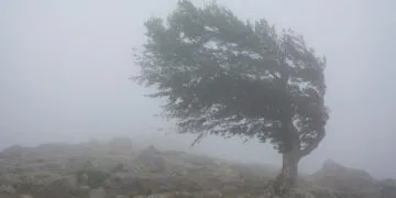 Alertă meteo extinsă: furtuni, vijelii și grindină. Codul galben se prelungește până marți seară