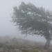 Alertă meteo extinsă: furtuni, vijelii și grindină. Codul galben se prelungește până marți seară
