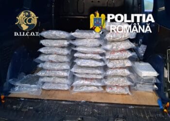 Captură uriașă de droguri! 30 de kilograme de canabis și cocaină, descoperite într-un autoturism cu podea falsă