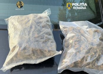 Traficanți de droguri prinși în flagrant! Foloseau un cărucior de copii pentru a transporta canabisul