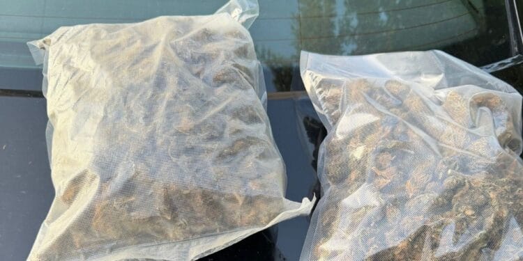 Traficanți de droguri prinși în flagrant! Foloseau un cărucior de copii pentru a transporta canabisul