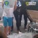 Cinci persoane prinse după ce au comandat droguri din Spania și Olanda. DIICOT a confiscat canabis, trufe halucinogene și substanțe psihoactive