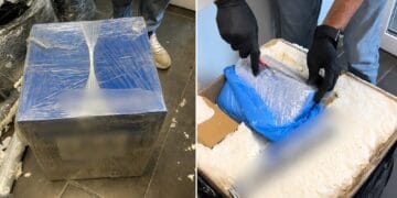 Captură de droguri de peste 220.000 de euro. Bărbat arestat după ce a introdus în țară peste 11 kilograme de canabis și cocaină