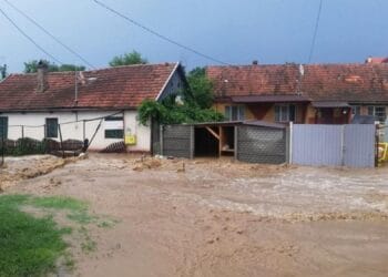 Ploile și vijeliile au făcut prăpăd! Zeci de locuințe inundate, drumuri blocate și un sat izolat după o alunecare de teren